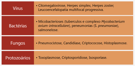 Principais microrganismos causadores de infecções oportunistas